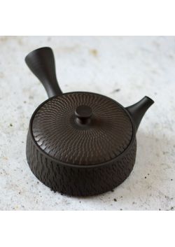 Hirakyusu teapot biri Gyokko 160ml