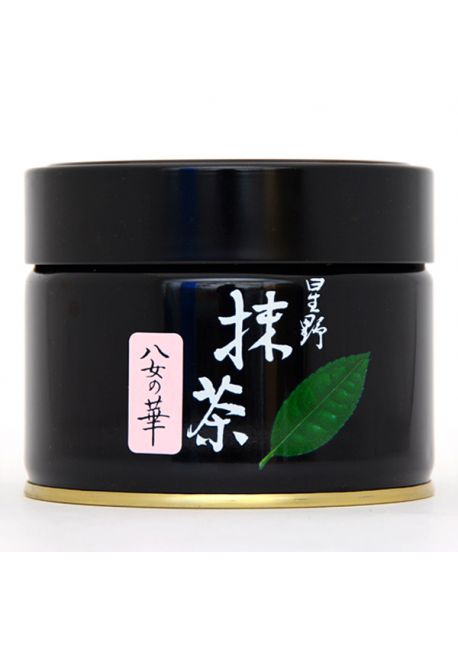 Matcha Standardowa100g Yamecha